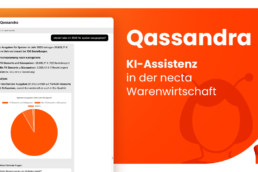 Qassandra - KI in der Warenwirtschaft